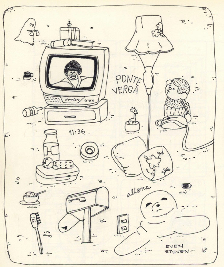 Un par de Fanzines de Lizeis